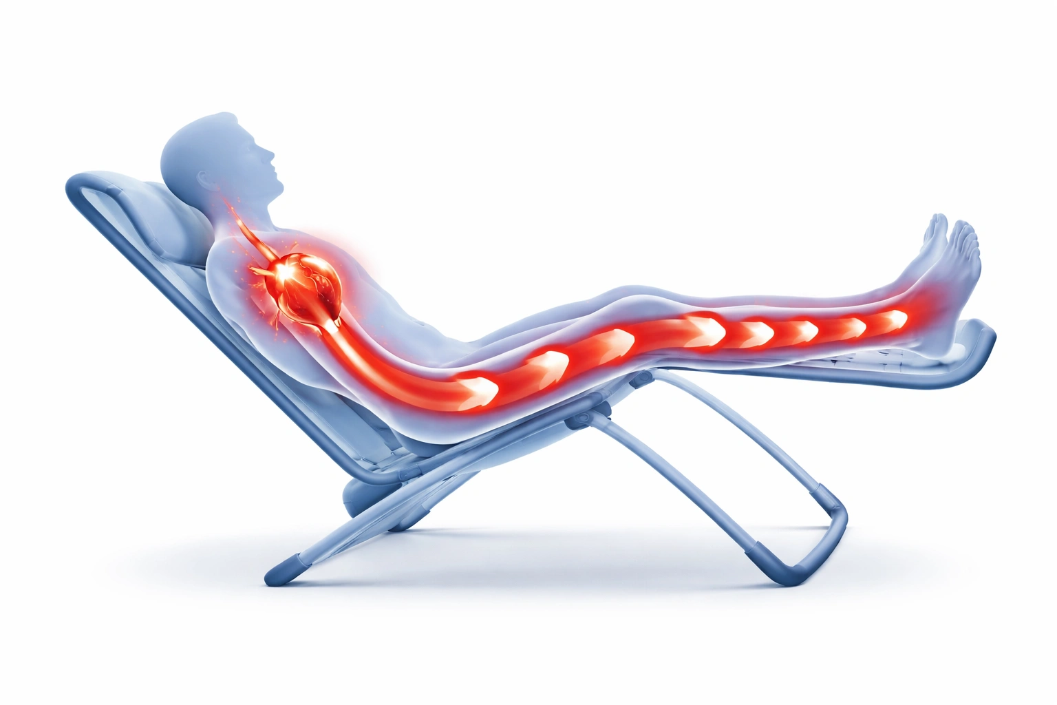 Improved circulation illustration